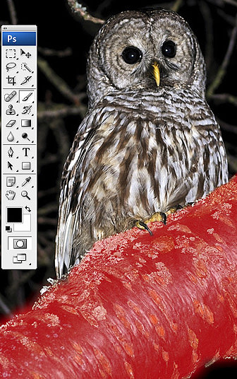 Using the 'Quick Mask' mode in Photoshop
